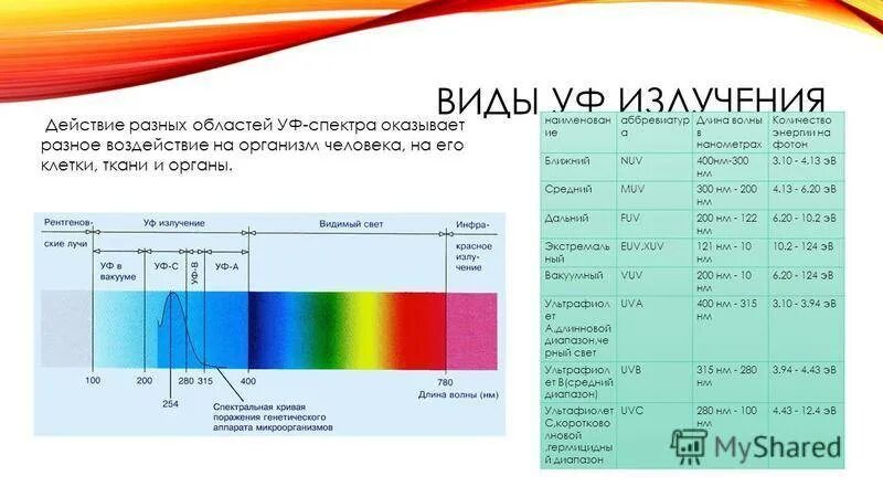Изменение цвета кожи под действием ультрафиолетовых лучей