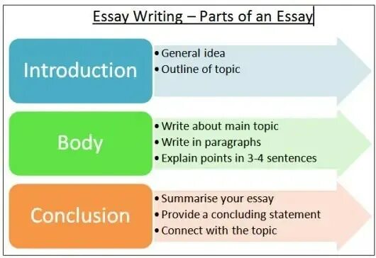 Essays ege