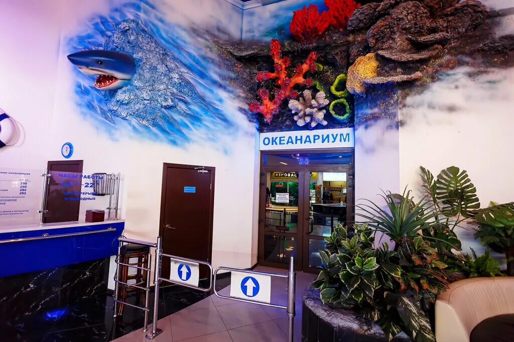 океанариум краснодар галактика. океанариум краснодар галактика цена. океанариум океан парк краснодар. океанариум краснодар галактика. океанариум уральская ул 98 11 краснодар отзывы.