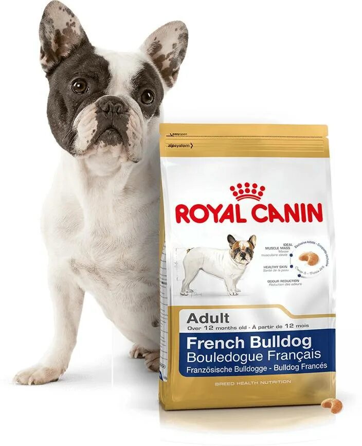 Французский бульдог сколько кормить. Royal Canin French Bulldog Adult (французский бульдог Эдалт). Роял Канин френч бульдог. Корм Роял Канин для собак французского бульдога. Корм Роял Канин для собак адульт для французского бульдога.