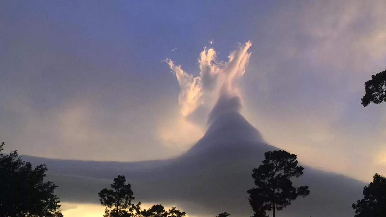 Cloud form