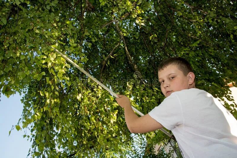 Мальчик вырезал 15 кругов. Мальчик ломает ветку дерева. Мальчик с дерева \ the Tree boy. Человек ломает ветку. Люди ломают ветки деревьев.