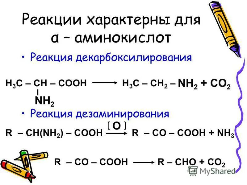 какие реакции характерны для белков