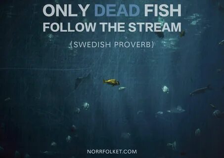 Only dead