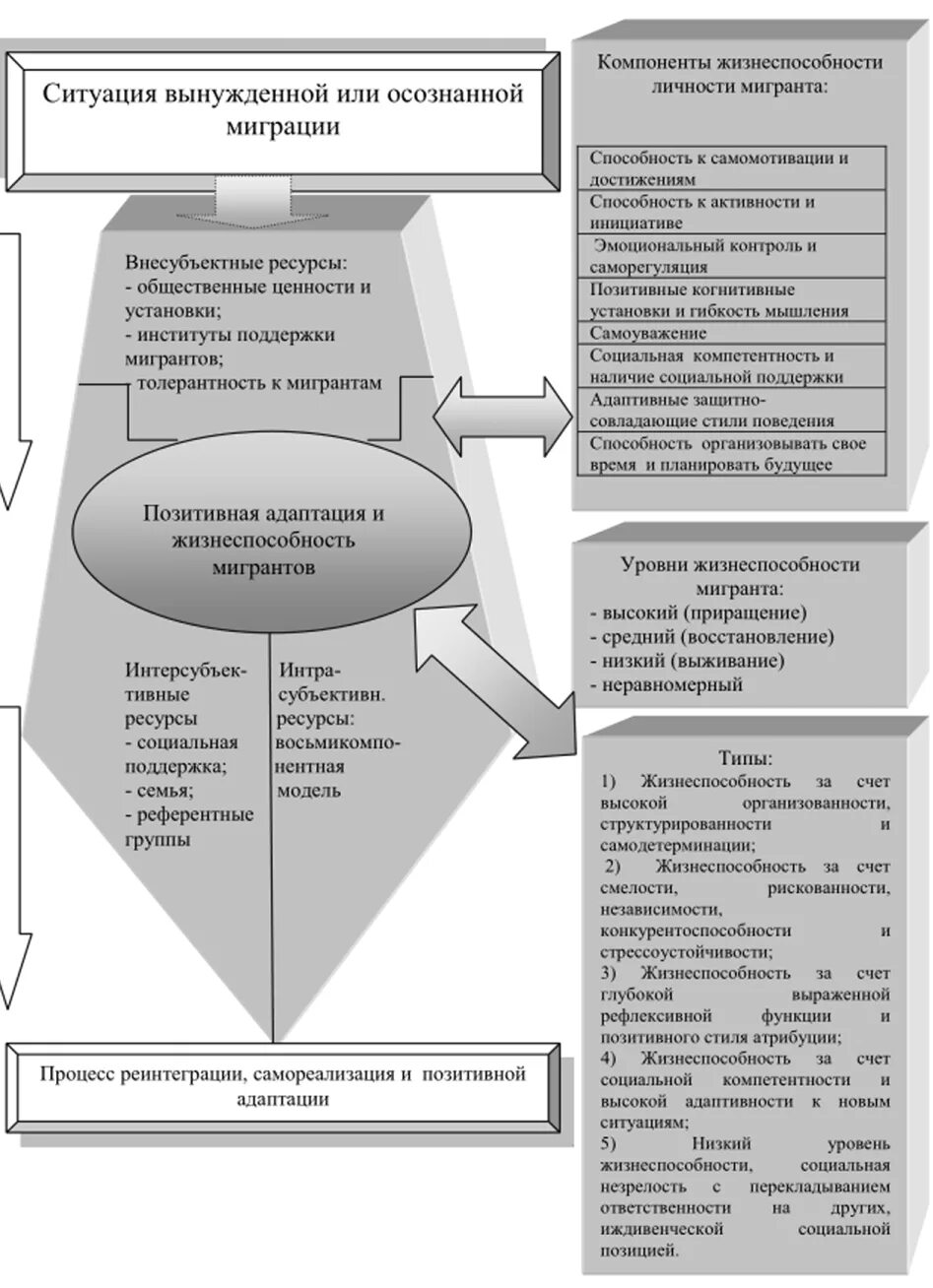 Функции адаптации и интеграции. Модели социальной адаптации мигрантов. интеграция мигрантов средствами образования.