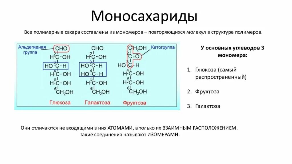 Выберите из приведенного списка вещества мономеры