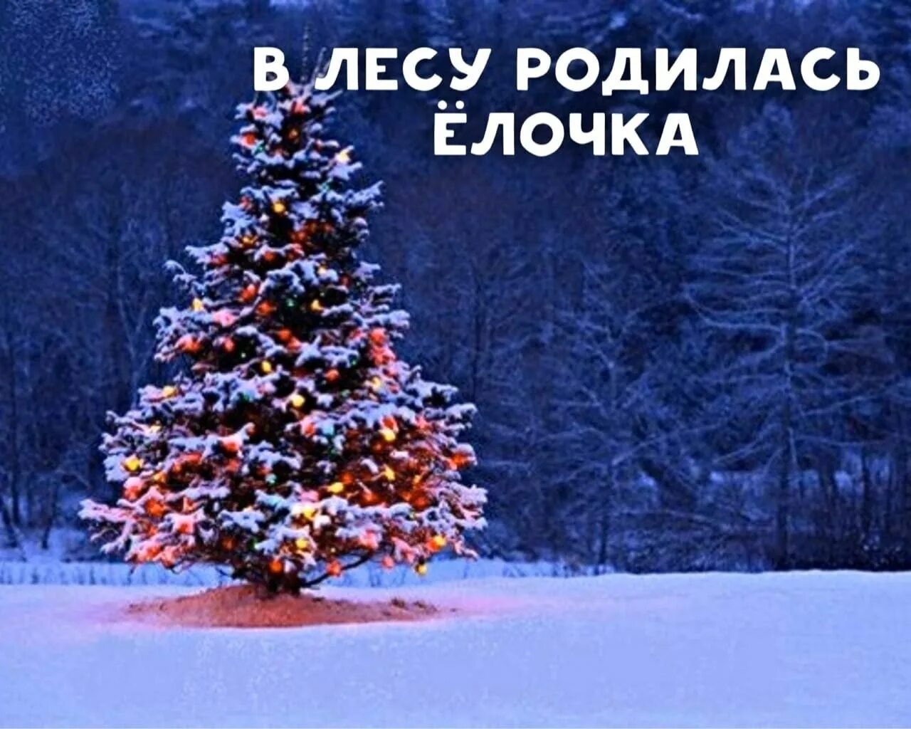 Песня в лесу родилась елочка послушать. В лесу родилась ёлочка картинки. Песня в лесу родилась елочка послушать. В лесу родилась ёлочка ноты. В лесу родилась елочка в лесу.