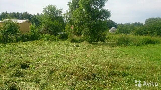 Лесной чкаловский. СНТ Родник Калининград. СНТ Чкаловск Калининград. СНТ В Чкаловске. СНТ Лесное Калининград Чкаловск.