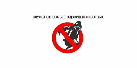 Номер телефона службы отлова собак
