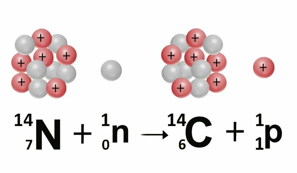 Схема распада углерода 14. Изотоп углерода 14. Радиоактивный изотоп углерода. Распад радиоактивного углерода. В результате бомбардировки изотопа азота