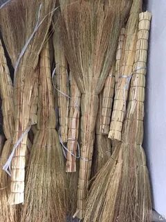 Из какого растения делают веники
