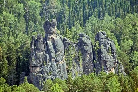 Старцев красноярский край