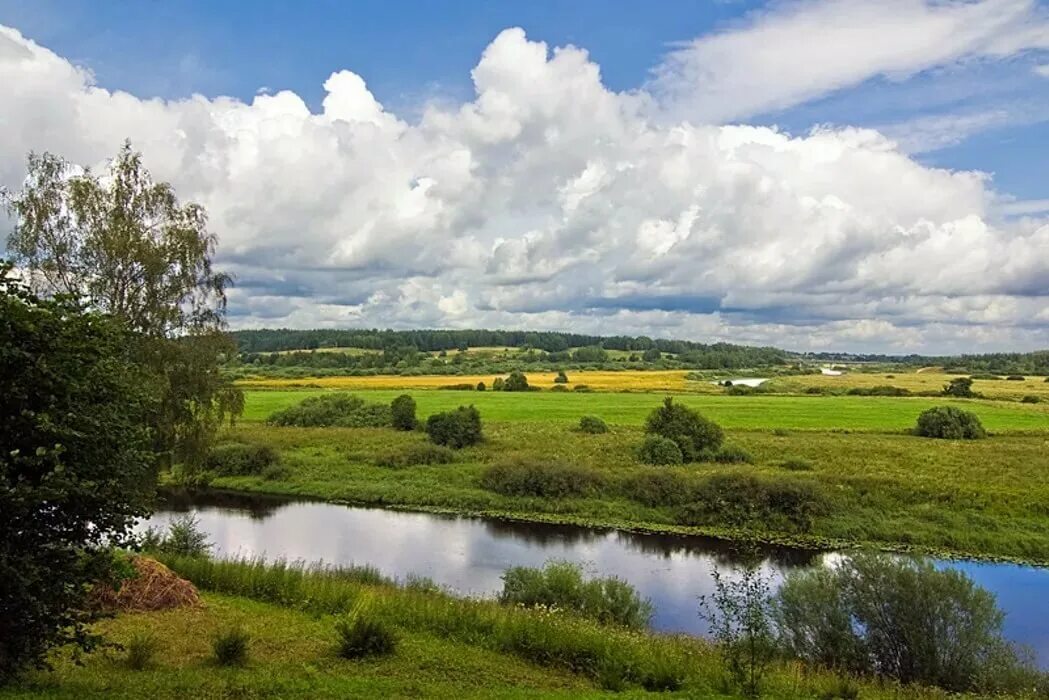 пейзажи средней полосы россии. пейзажи среднерусской полосы. средняя картинка. фотопейзажи смоленской области. пейзажи средней полосы россии.