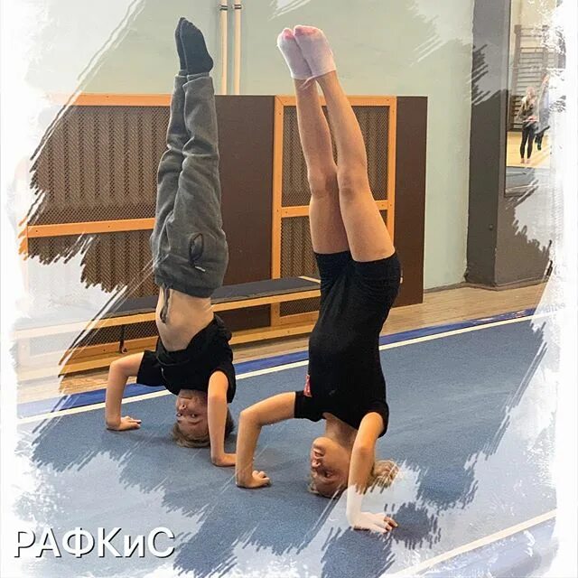 рафкис на выборгском шоссе