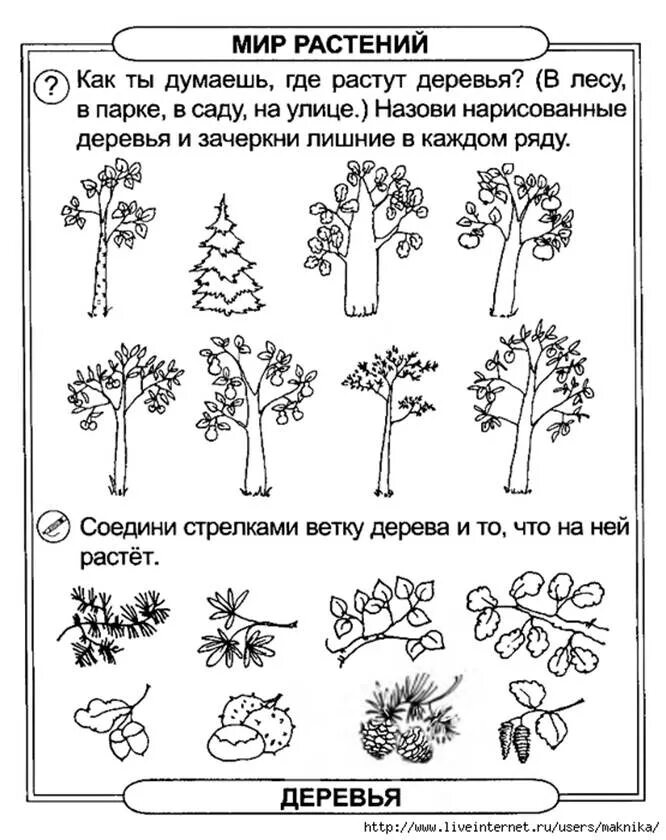 Тесты рабочие задания. Деревья задаиядля детей. Деревья задания для дошкольников. Деревья и кустарники задания для дошкольников. Лиственные деревья задания для дошкольников.