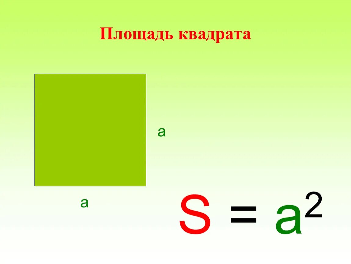 Площадь квадрата формула 4кл. Вычисление площади квадрата. Квадрат лошадь. Полощадьквадрата. Как найти площадь квадрата математика 3 класс