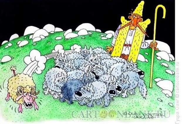Пословица волки сыты овцы целы. Овца карикатура. Бараны и пастух карикатура. Карикатура на Баранов. Стадо Баранов карикатура.