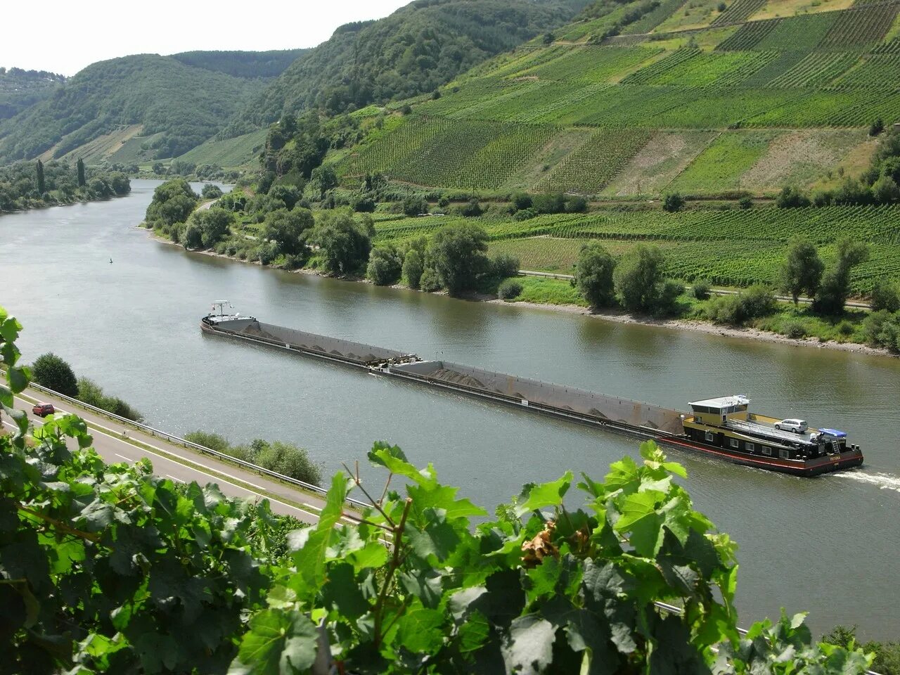 Река Мозель Люксембург. Долина реки Мозель. Долина Мозеля Люксембург. Река Мозель во Франции. Приток мозеля