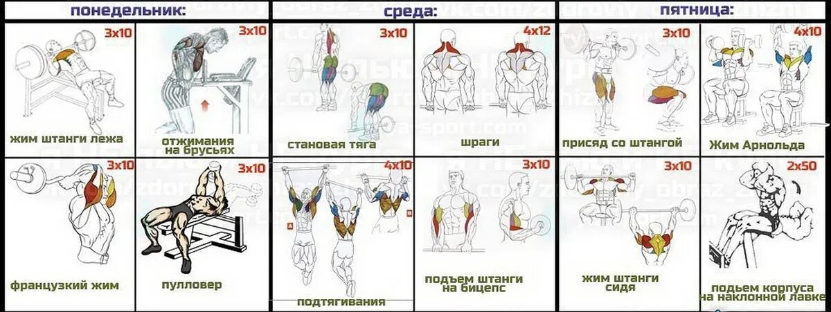 План тренировок в тренажерном зале для мужчин 3 раза в неделю. Схема тренировок в тренажерном зале для мужчин 3. Схема тренировок для набора мышечной массы. Программа тренировок в тренажерном зале для мужчин новичков.