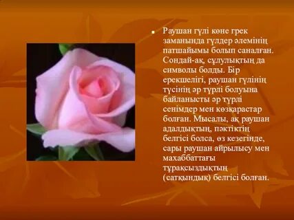 Тропорно фильмдер