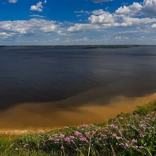 Погода курнаевка волгоградской