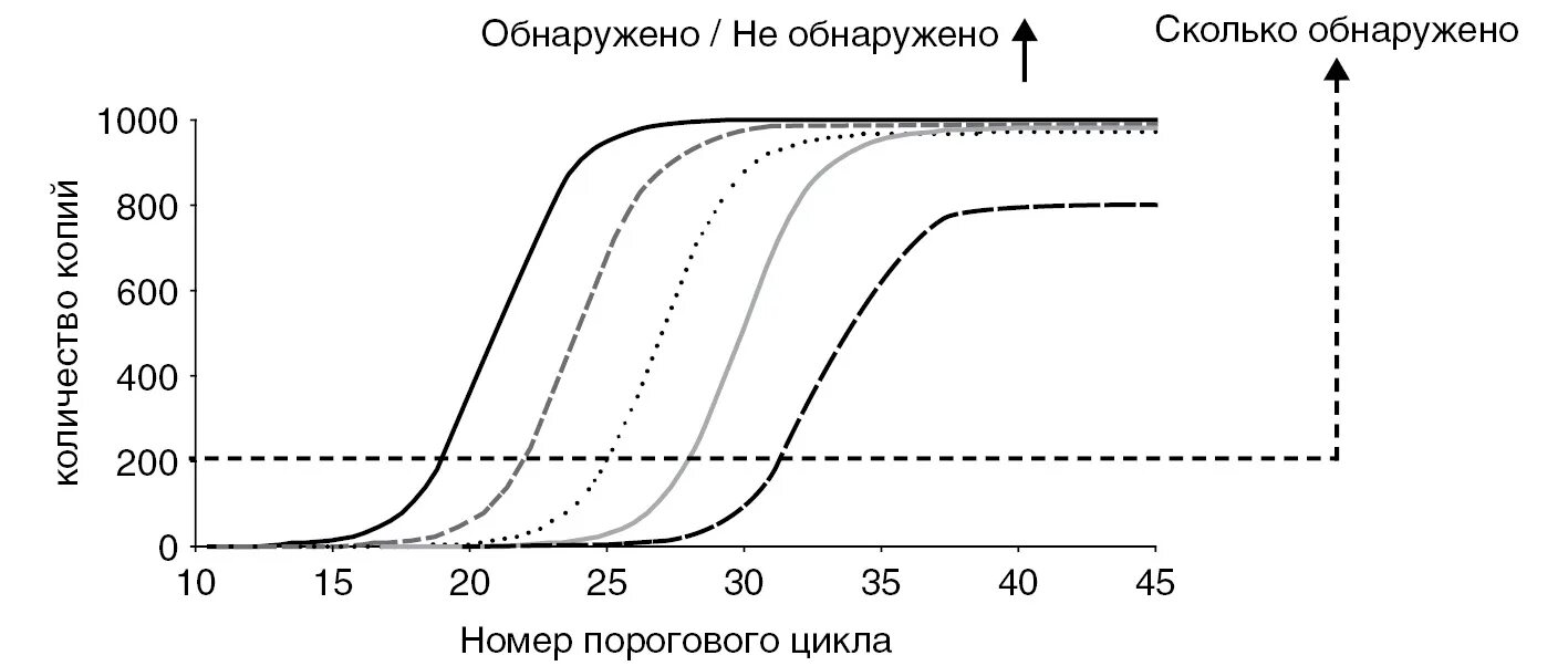 Тест реального времени. График амплификации ПЦР. График ПЦР В реальном времени. Пороговый цикл ПЦР. Кривая ПЦР В реальном времени.