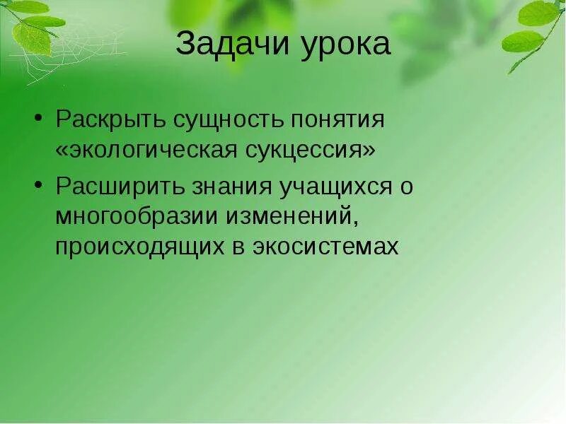Без каких либо изменений
