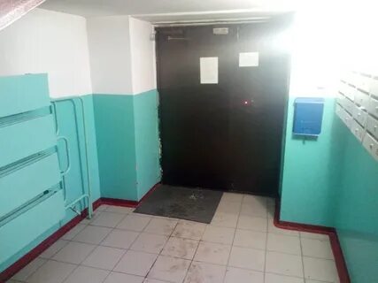 Ломоносова бийск