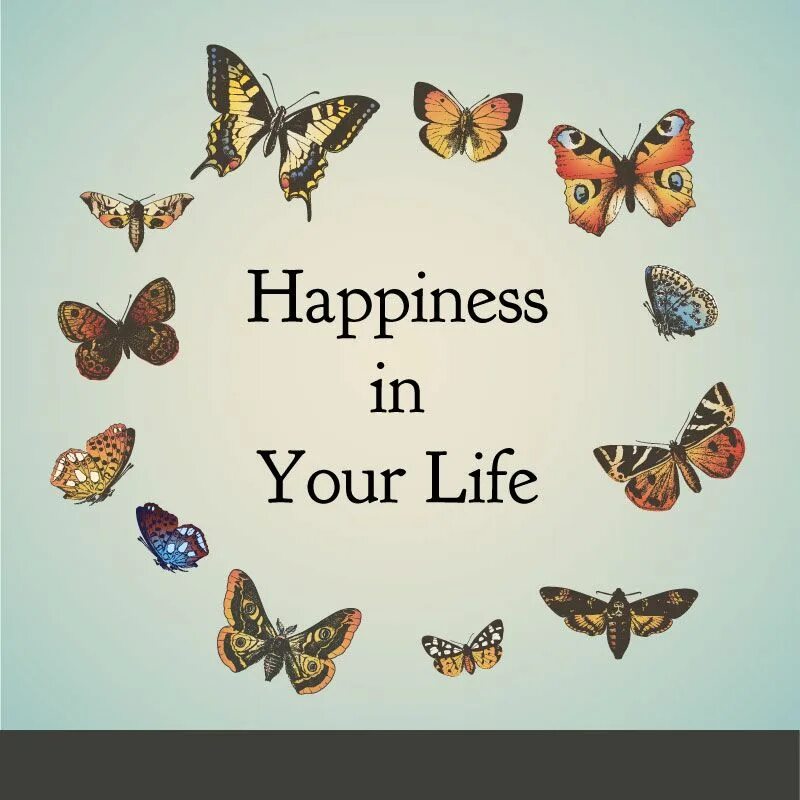 Are you happy in your life. Happiness is a Butterfly. Happiness is a Butterfly foto Cards. Ascension Butterfly. I Wish you a Happy Life.