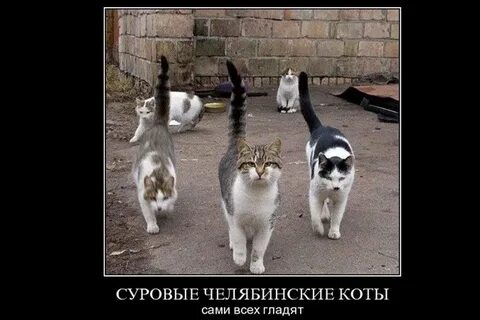 Мы подошли из за угла