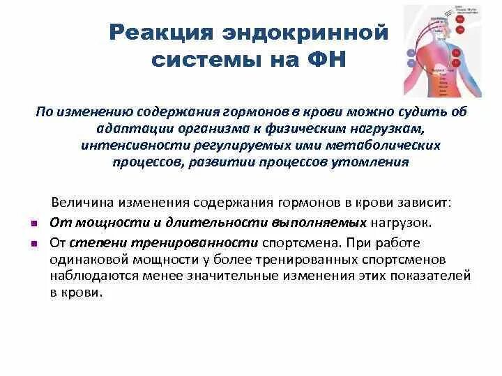 Эндокринные реакции