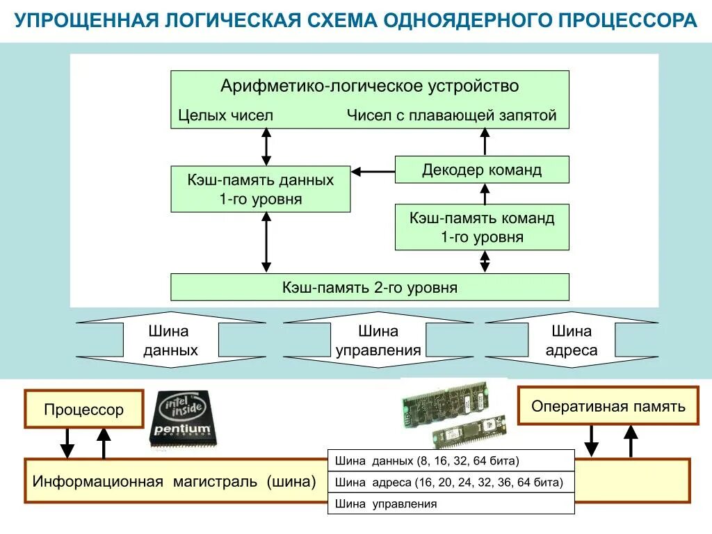 Логическая структура процессора. Схема процессор оперативная память магистраль. структурная схема компьютера процессор. упрощенная структурная схема векторного процессора. структура процессора схема.
