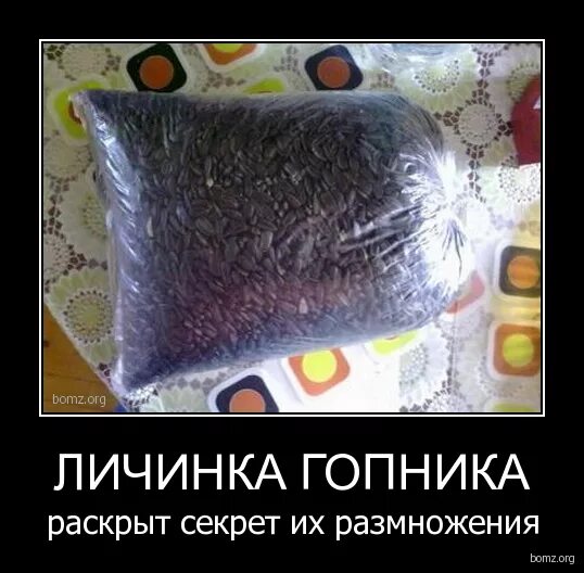 раскрыть секрет.