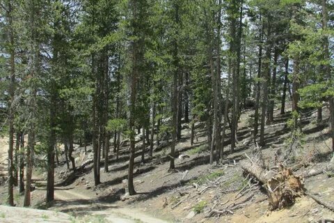 Thumbnail for version as of 23:14, 21 June 2022. 