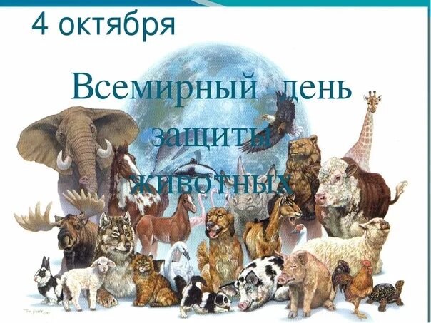 3 апреля день животных. Всемирный день защиты животных.