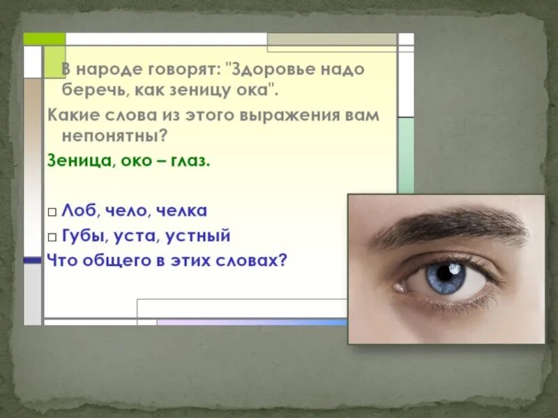 Хранить как зеницу ока значение. Беречь как зеницу ока. фразеологизм хранить как зеницу ока. беречь как зеницу ока значение фразеологизма. выражение беречь как зеницу ока.