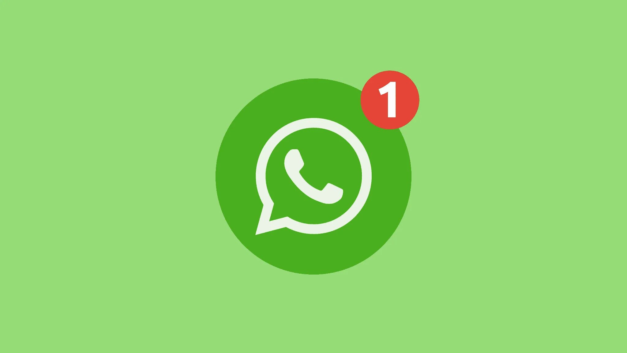 Whatsapp notifications. Whatsapp notifications