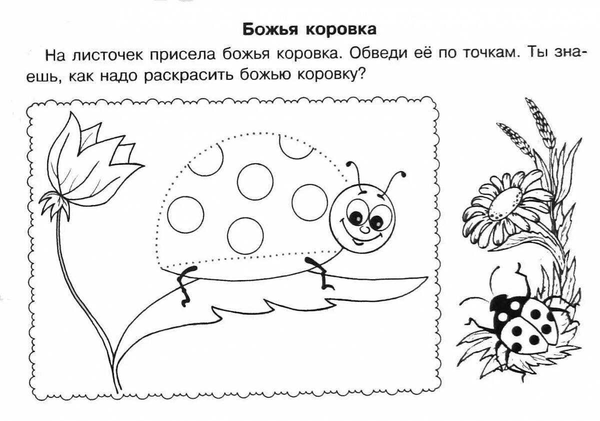 Задания для развития детей 3 4 года. Насекомые задания для дошкольников. задания для детей 3-4 лет. развивающиеся задания для детей. развивающие задания для детей 3-4 лет.