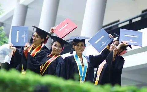 Languages in higher education