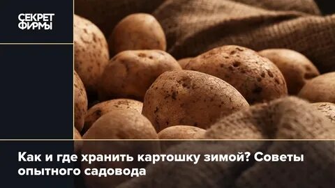 Картошку можно хранить при температуре