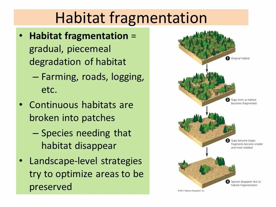 Habitat fragmentation. Habitat игра. Habitat loss. Habitat перевод. Habitat help