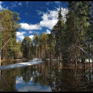 Апрель сургут