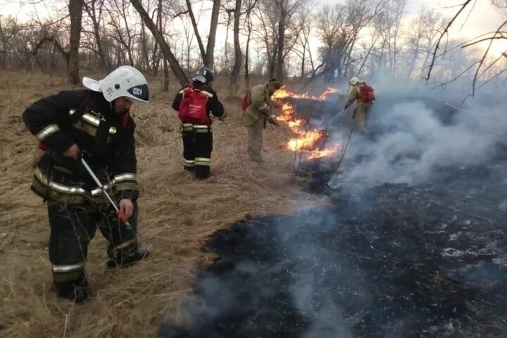 Новости курганской области сегодня свежие последние события. Пожар леса Курганская область. Пожары в Курганской области 6 мая. Лесные пожары в Курганской области за последние сутки. Курганская область пожары сейчас.