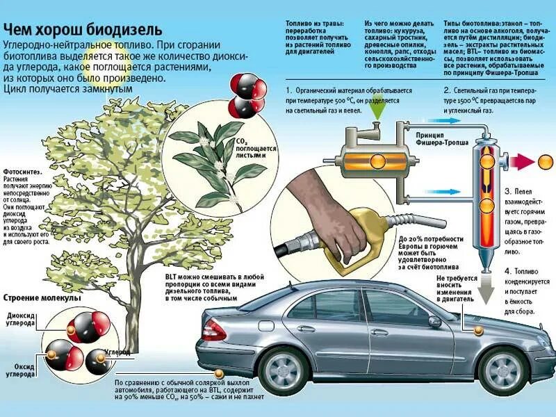 Топливо для двигателей автомобилей. Жидкое биотопливо биодизель. Из чего получают биодизель. Из чего производят биодизель. Экологическое топливо для автомобилей.