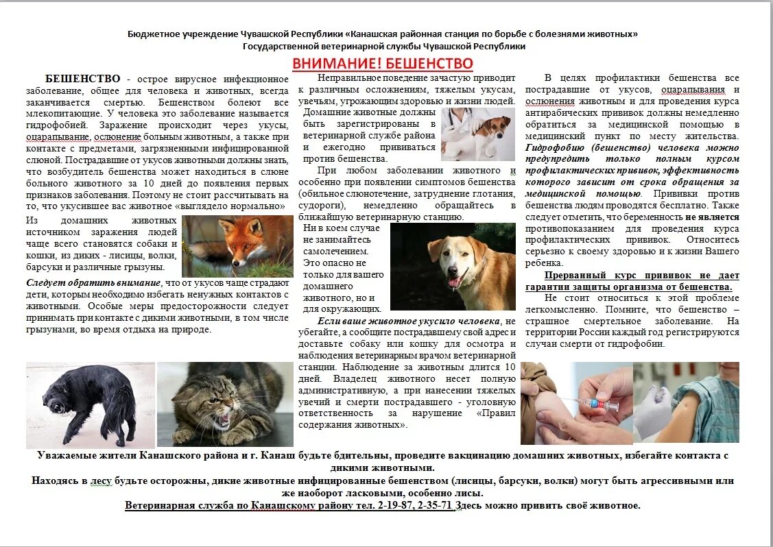 Как называется укус собаки