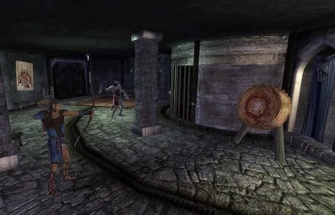 The elder arena