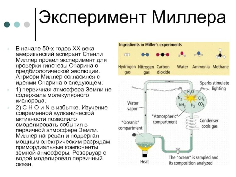 Этап предбиологической эволюции. Этапы эволюции химическая Предбиологическая биологическая. Эксперимент Миллера. Опыт Миллера. Химический предбиологический биологический и социальный этапы.