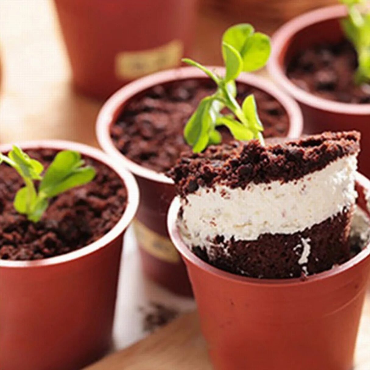 Шоколадный горшок с цветами. Мамин любимый цветок десерт. Шоколадный горшок с цветами. Cococo мамин любимый цветок. Кококо мамин любимый цветок.