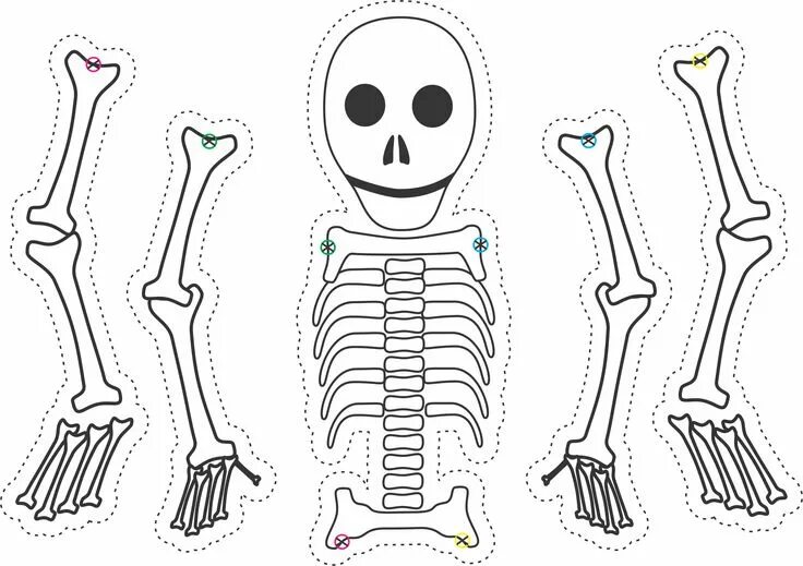 10 популярных идей на тему "dinosaur bones drawing" для вдохновения