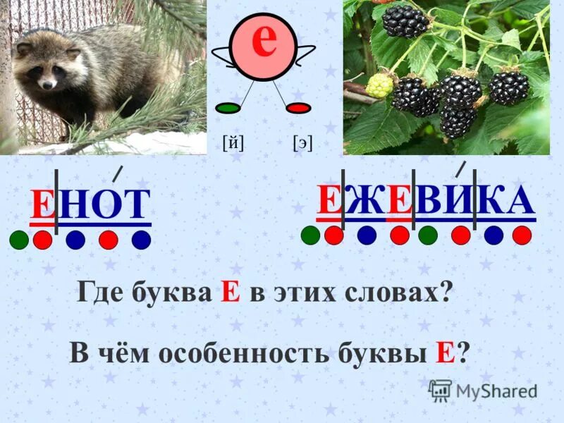 Енот разбор 1. Разбор слова слова енот. Слово енот. Енот разбор 1. Фонетический разбор слова енот.